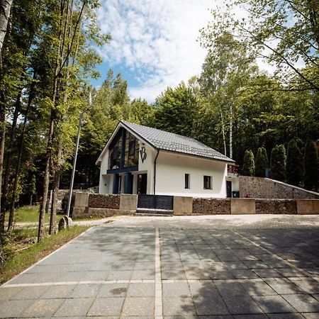 Vila Blanc Valiug Crivaia Экстерьер фото