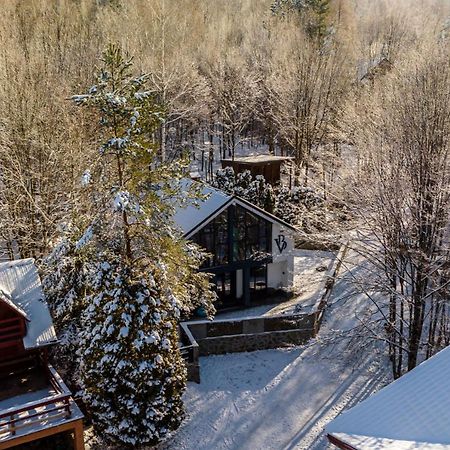 Vila Blanc Valiug Crivaia Экстерьер фото