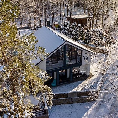 Vila Blanc Valiug Crivaia Экстерьер фото