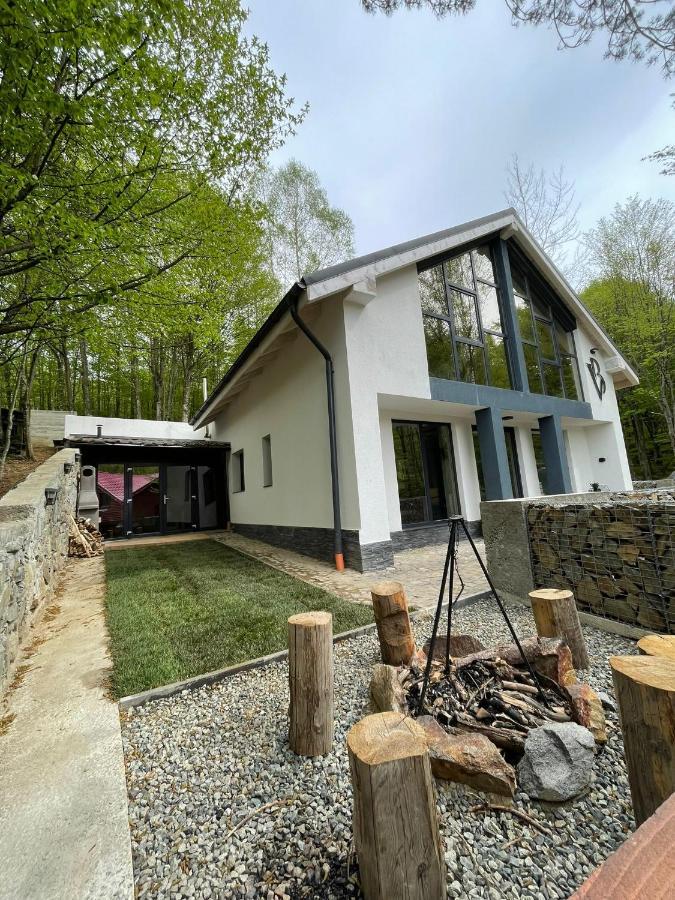 Vila Blanc Valiug Crivaia Экстерьер фото