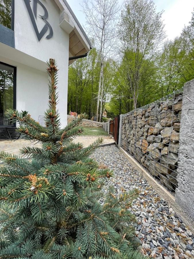 Vila Blanc Valiug Crivaia Экстерьер фото