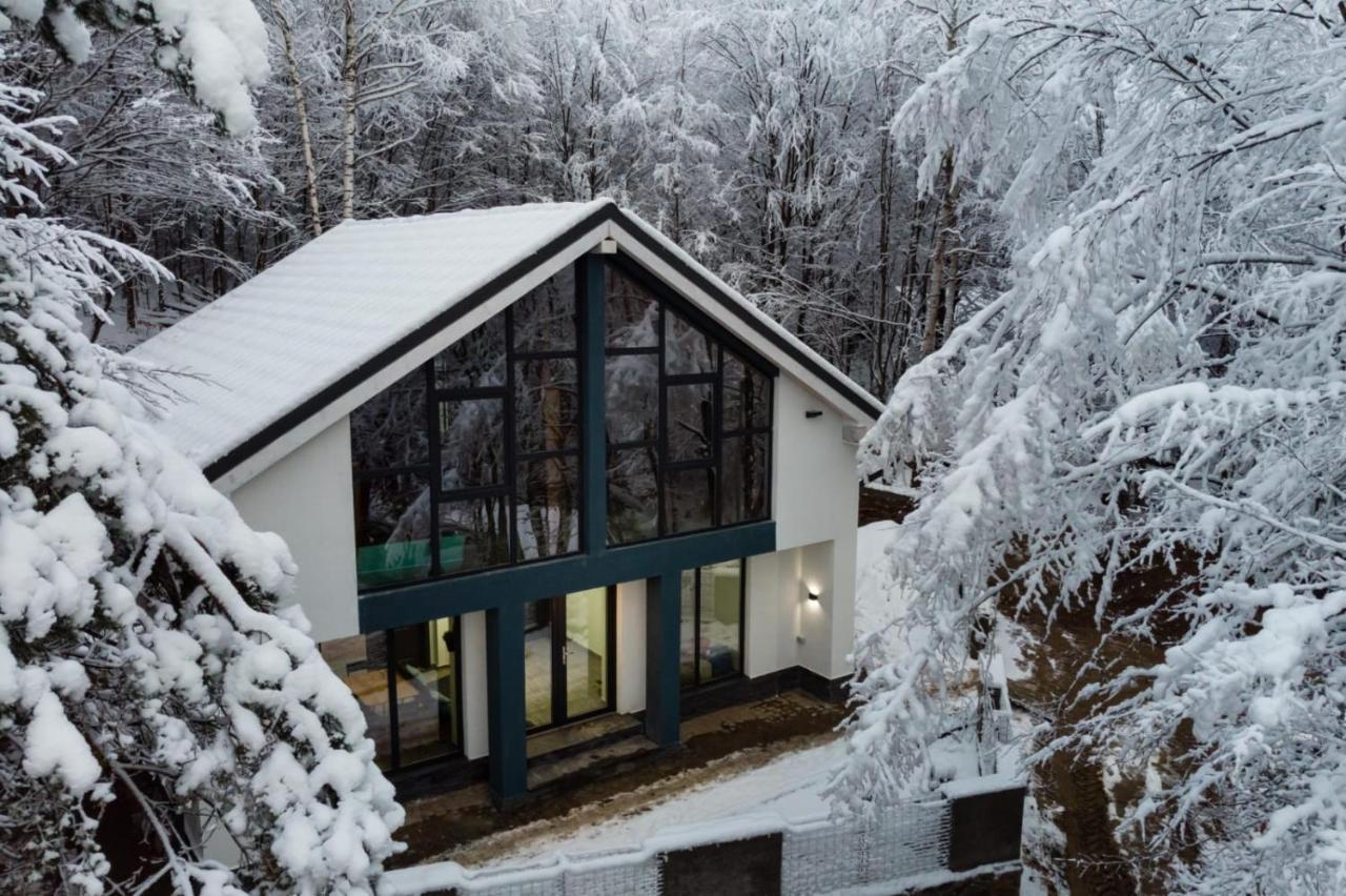Vila Blanc Valiug Crivaia Экстерьер фото