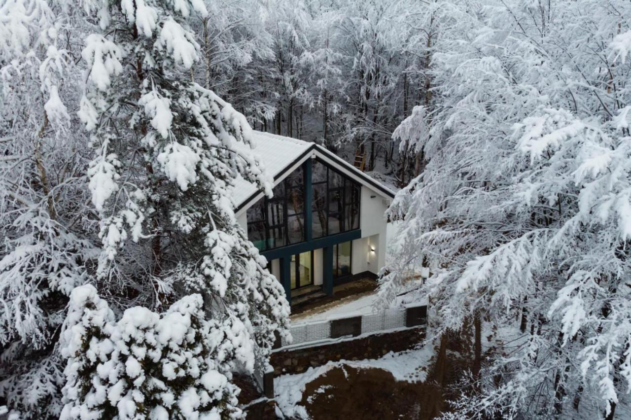 Vila Blanc Valiug Crivaia Экстерьер фото