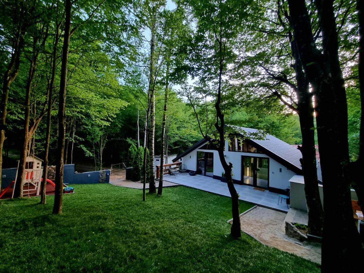 Vila Blanc Valiug Crivaia Экстерьер фото