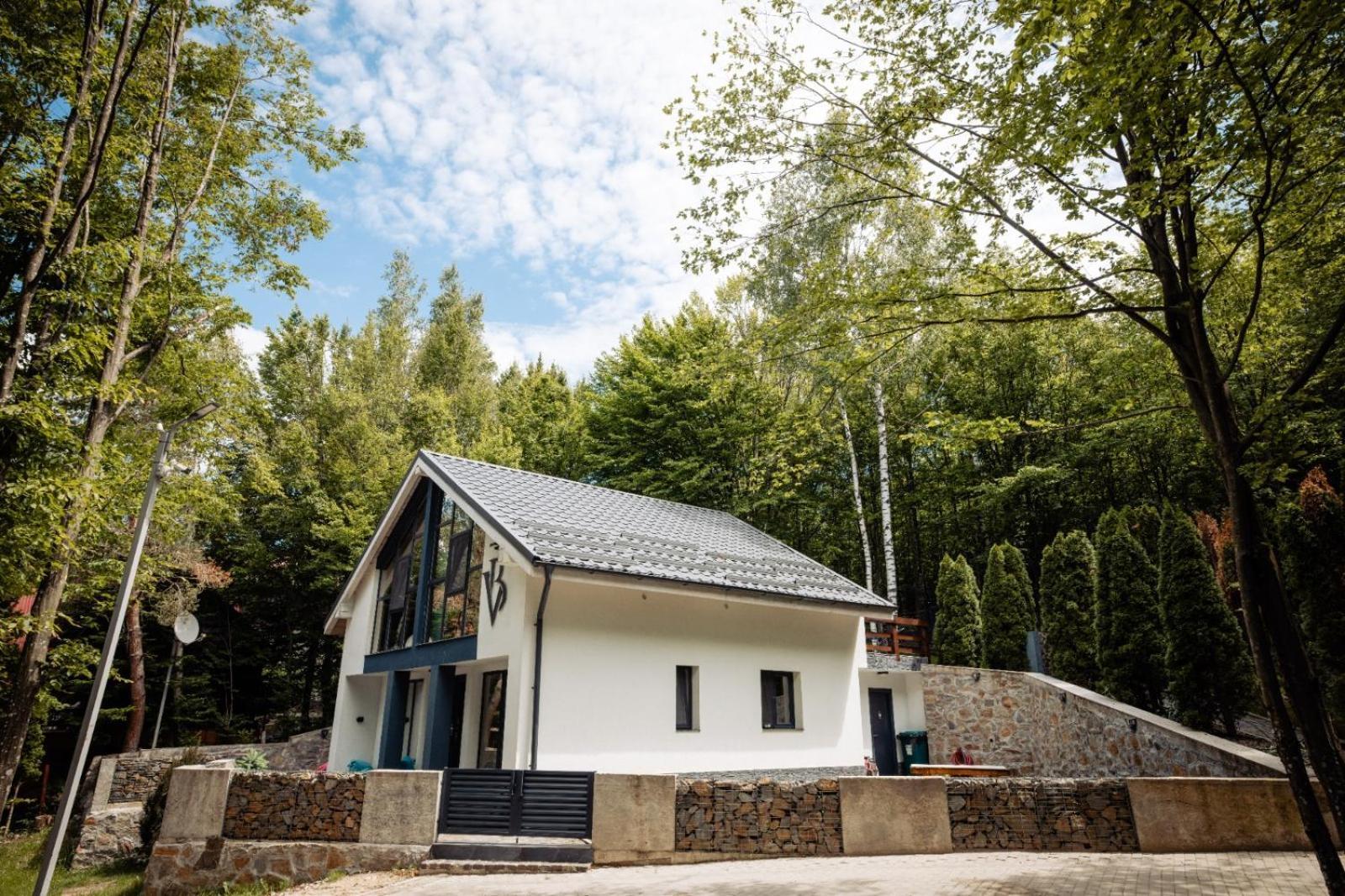 Vila Blanc Valiug Crivaia Экстерьер фото