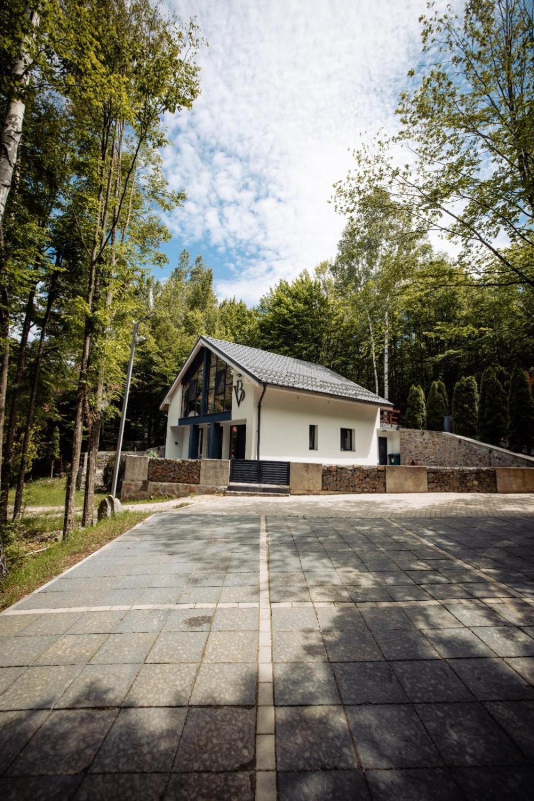 Vila Blanc Valiug Crivaia Экстерьер фото