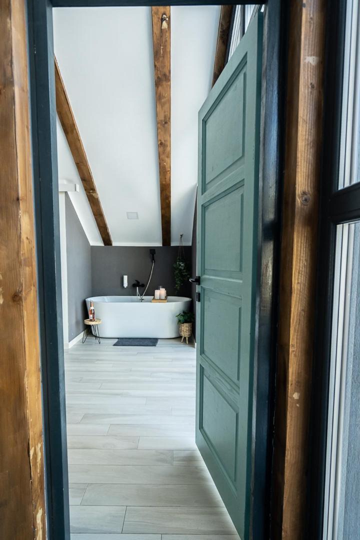 Vila Blanc Valiug Crivaia Экстерьер фото