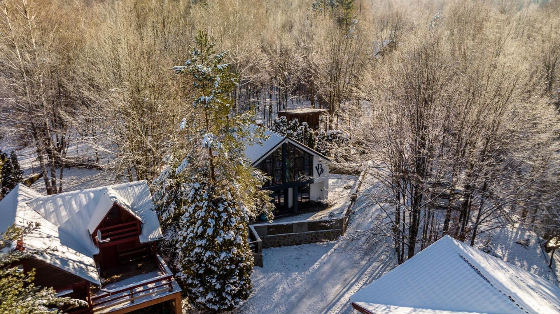Vila Blanc Valiug Crivaia Экстерьер фото